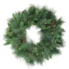Pre-Lit White Valley Pine Artificial Christmas Wreath, 24-Inch, Clear Lights -Noel Twinkle Shop northlight v15934 09385.1667488156