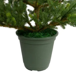 6' Noble Pine Slim Artificial Christmas Tree In Terracotta Pot - Unlit -Noel Twinkle Shop northlight v27377 3 73387.1680014813