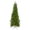 6.5' Pre-Lit Canadian Pine Artificial Pencil Christmas Tree - Clear Lights 2 6.5' Pre-Lit Canadian Pine Artificial Pencil Christmas Tree - Clear Lights -Noel Twinkle Shop northlight v27380 96081.1667659713