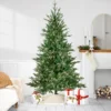 6' Pre-Lit Grande Spruce Artificial Christmas Tree, Clear Lights 2 6' Pre-Lit Grande Spruce Artificial Christmas Tree, Clear Lights -Noel Twinkle Shop northlight v94169 1 58149.1674058101
