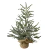2' Potted Iced Cedar Pine Medium Artificial Christmas Tree - Unlit -Noel Twinkle Shop northlight vm26566 10965.1667572677
