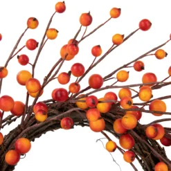 Orange Berries And Twig Artificial Fall Harvest Wreath 14- Inch, Unlit 14 Orange Berries And Twig Artificial Fall Harvest Wreath 14- Inch, Unlit -Noel Twinkle Shop northlight vm37851 2 90570.1684449119