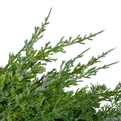 Frosted Cedar And Pine Cone Artificial Christmas Wreath, 26-Inch, Unlit -Noel Twinkle Shop northlight vm89239 3 updatednew 67081.1685659478