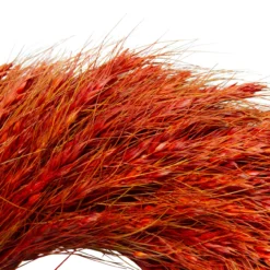 Red And Orange Ears Of Wheat Fall Harvest Wreath - 12-Inch, Unlit 8 Red And Orange Ears Of Wheat Fall Harvest Wreath - 12-Inch, Unlit -Noel Twinkle Shop northlight vm89275 2 13520.1667560779