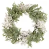 White Berry And Frosted Pine Christmas Wreath, 28-Inch, Unlit 1 White Berry And Frosted Pine Christmas Wreath, 28-Inch, Unlit -Noel Twinkle Shop northlight vm92762 updated2022 09746.1667642600