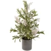 2' Potted White Berry And Frosted Pine Christmas Tree, Unlit -Noel Twinkle Shop northlight vm92773 10336.1667530257