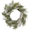 Artificial Christmas Wreath With Frosted Foliage And Berries, 20-Inch, Unlit 1 Artificial Christmas Wreath With Frosted Foliage And Berries, 20-Inch, Unlit -Noel Twinkle Shop northlight yk93231 1 49893.1667530198
