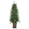 6' Pre-Lit Potted Oregon Noble Fir Slim Artificial Christmas Tree - Warm White LED Lights -Noel Twinkle Shop northlight ytp006 gr 02618.1667519986