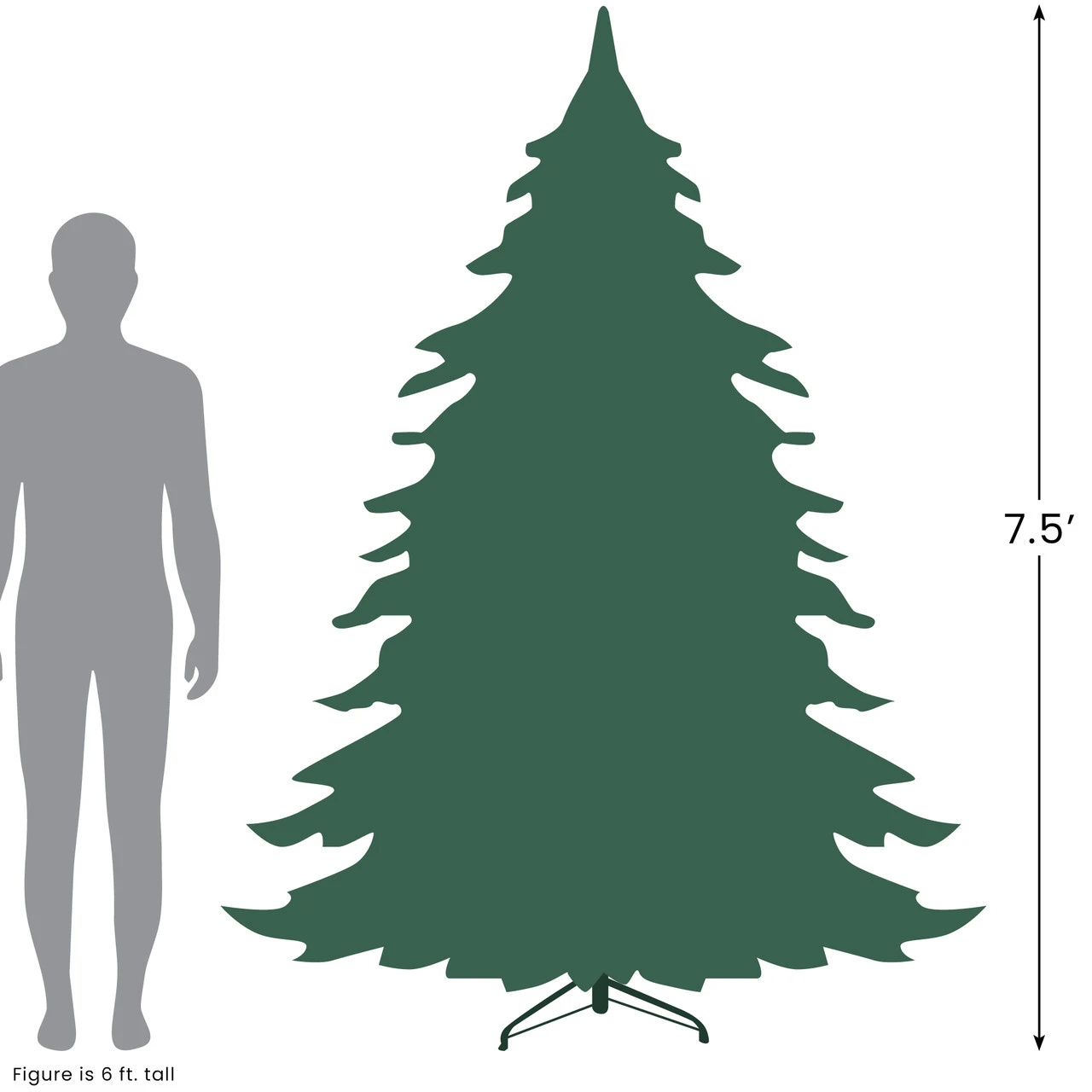 7.5' Pre-Lit Medium Mont Blanc Fir Artificial Christmas Tree - Dual Color LED Lights 10 7.5' Pre-Lit Medium Mont Blanc Fir Artificial Christmas Tree - Dual Color LED Lights - Image 8