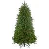 6.5' Pre-Lit Palisades Fir Artificial Christmas Tree - Clear Lights 1 6.5' Pre-Lit Palisades Fir Artificial Christmas Tree - Clear Lights -Noel Twinkle Shop northlight z28591 same20as20z28592 18527.1667572471