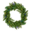 24" Pre-Lit Northern Pine Artificial Multi-Color LED Lights Christmas Wreath -Noel Twinkle Shop northlight z35731 48287.1667586574