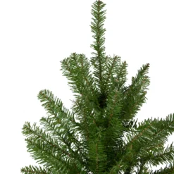 4' Northern Pine Medium Artificial Christmas Tree, Unlit 8 4' Northern Pine Medium Artificial Christmas Tree, Unlit -Noel Twinkle Shop northlight z84469 2update 14092.1667662027