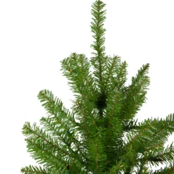 6.5' Northern Pine Full Artificial Christmas Tree, Unlit -Noel Twinkle Shop northlight z84652 2 57516.1684419790