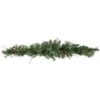 6' X 9" Country Mixed Pine Artificial Christmas Garland - Unlit -Noel Twinkle Shop northlight z99489 2new 26991.1668539391