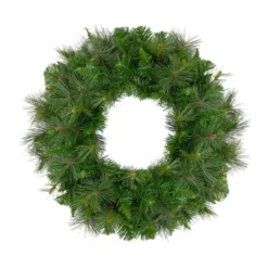 24" Mixed Canyon Pine Artificial Christmas Wreath - Unlit