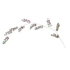 3.75' X 7" Peacock Rainbow Jeweled Artificial Christmas Garland - Unlit 1 3.75' X 7" Peacock Rainbow Jeweled Artificial Christmas Garland - Unlit -Noel Twinkle Shop oi69rfklodchuo3qmvrtgmutb4thyr7j 95983.1667536488