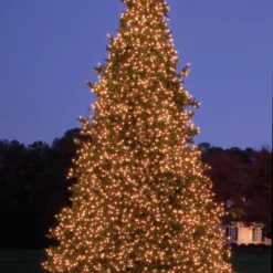 26’ Pre-Lit Giant Olympia Pine CommercialArtificial Tower Christmas Tree - Warm White LED Lights -Noel Twinkle Shop olympiaframetree2 06691.1680153258