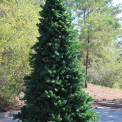 26’ Pre-Lit Giant Olympia Pine CommercialArtificial Tower Christmas Tree - Warm White LED Lights -Noel Twinkle Shop olympiaframetree3 10717.1680153258