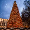 26’ Pre-Lit Giant Olympia Pine CommercialArtificial Tower Christmas Tree - Warm White LED Lights 2 26’ Pre-Lit Giant Olympia Pine CommercialArtificial Tower Christmas Tree - Warm White LED Lights -Noel Twinkle Shop olympiaframetree 94792.1680153258