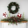 Mixed Eden Pine Artificial Christmas Wreath, 30-Inch, Unlit -Noel Twinkle Shop p1ezur6pltrqjtyg1ks8jj4rg6dkkdgp 69654.1667520680