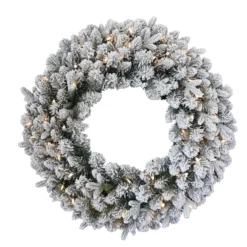 24" Pre-Lit LED Snowy Iceland Fir Artificial Christmas Wreath - Warm White Lights