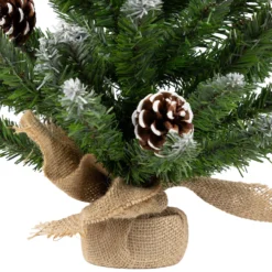 24" Frosted Norway Pine With Pine Cones Medium Artificial Christmas Tree, Unlit 10 24" Frosted Norway Pine With Pine Cones Medium Artificial Christmas Tree, Unlit -Noel Twinkle Shop wnss365hujdpa2wjvzmtionlzzxjpk1x 73351.1684955883