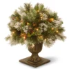 24β Pre-lit Potted Wintry Pine Porch Bush Artificial Christmas Tree β Clear Lights 1 24β Pre-lit Potted Wintry Pine Porch Bush Artificial Christmas Tree β Clear Lights -Noel Twinkle Shop wp1 300 24p 10057.1667574598